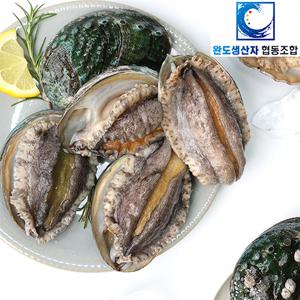 [완도생산자협동조합]활 전복 특특대 1kg (10-11미) 산소포장 /생산자직송