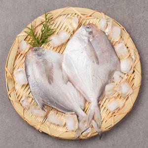 굿피쉬 국내산 은병어 120g x 6미