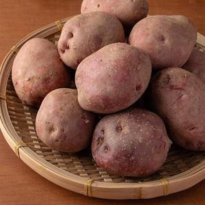 국산 홍감자 5kg 중