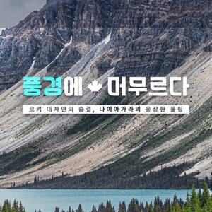 [강력 추천] NO쇼핑 캘거리 직항 캐나다 완전일주 8일/11일 (로키 산맥 이동시간 단축 + 나이아가라 폭포뷰 숙박)
