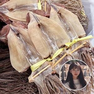 [물맛남] 영덕직송 마른오징어 5미 350g내외(대)