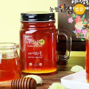 [농협안심벌꿀] 야생화 꿀 500g x 1병
