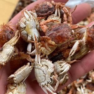 국산 베이비크랩 300g 무료배송 마른게 튀김게 건어물
