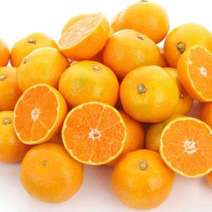 [더조은] 달콤한 서귀포 감귤 (로얄중품) 3kg