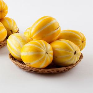 달콤한 가정용 성주 참외 1.5kg 로얄과(6-7과)