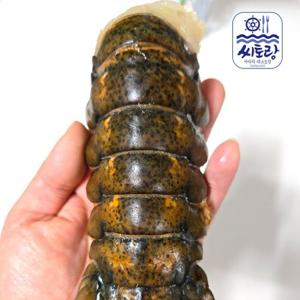 [씨토랑]캐나다 랍스터테일 2미/마리당 110~120g