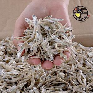 완도 특상품 볶음조림용 멸치(소멸,가이리) 500g