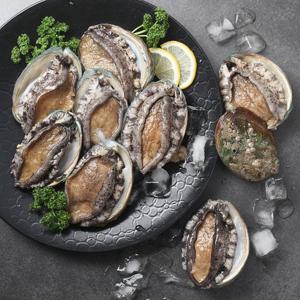 완도 활 전복 1kg 8-9미 / 대복 / 산소팩포장