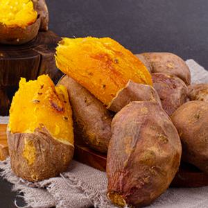 해남 세척 호박고구마 중 10kg(50~100g) 한박스