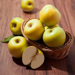 경북 시나노골드 정품 사과 2kg (10-13과)