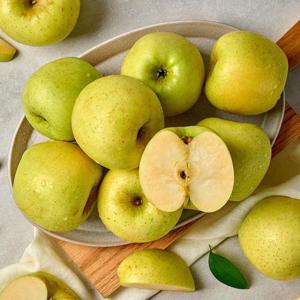 [팜스프링] 황금사과 시나노골드 가정용 중과 4.5kg 15-18과