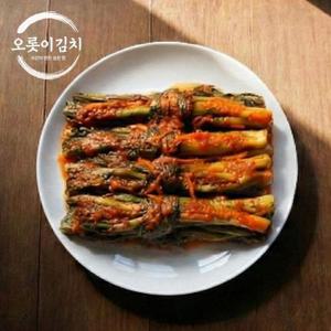 오롯이김치 전라도식 갓김치3kg 바로담근/국내산재료