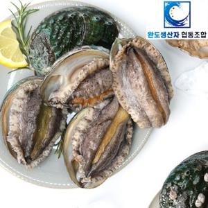 [완도생산자협동조합]왕특대 활전복 1kg (6-7미) 산소포장 /생산자직송