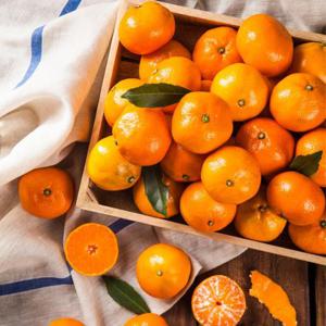 귤마을 제주 가정용 흠집 감귤 9kg 중대과