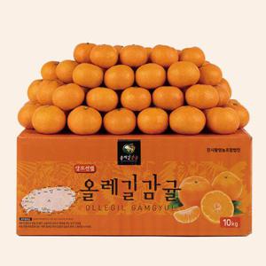 서귀포 GAP인증 AI당도선별 노지 하우스 감귤 9kg 대과 L이상 맛있는 올레길 감귤 산지직송  LD