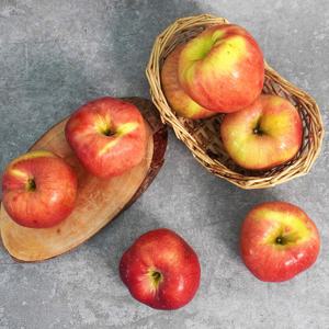 [더조은] 경북 홍로 사과 주스용 9kg 랜덤과