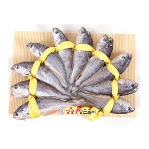 [오영곤영광굴비] 특장대1호(21~22cm±1cm)20미