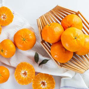 제주직송 감귤 실중량 9kg 프리미엄과(S)