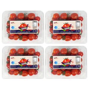 스테비아 대추방울토망고2kg(500g x 4팩)