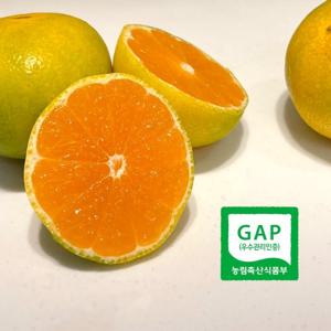 서귀포 GAP인증 AI당도선별 노지 하우스 감귤 1kg 로얄과 S M 맛있는 올레길 감귤 산지직송 제철 과일 LD