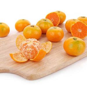 갤러리아_[더조은] 서귀포 비가림 하우스 감귤 (중대과) 5kg