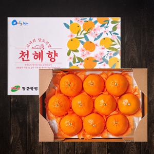 [푸르젠 천혜향] 천혜향  선물세트 3kg