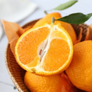 [제주직송] 서귀포 한라봉 가정용 2kg (5~12과)