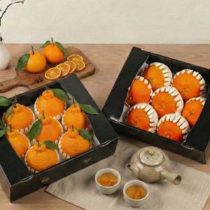 제주 한라봉 레드향 명품 선물세트 (한라봉2kg+레드향2kg)