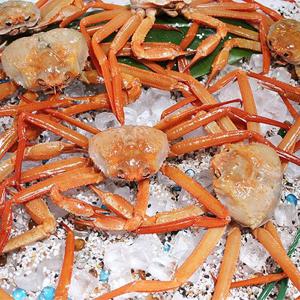 [물맛남] 구룡포 실속형 홍게 4키로 12-18미 (수율70%이상)