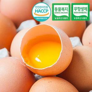갤러리아_[동물복지/무항생제/HACCP] 웰굿 유정란 계란 40구(대-특란)