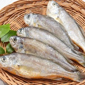 [바다성찬]영광법성포 알치 50g x 40미 내외 총 2kg