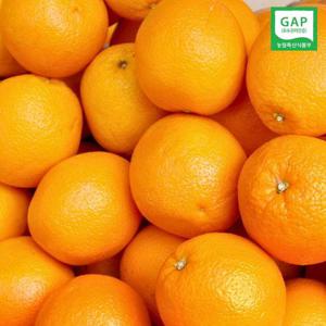 제주 GAP인증 웰빙 스테비아 감귤 5kg 혼합(2S-L)