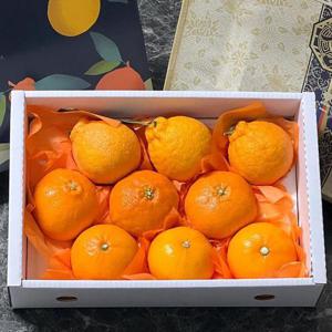 명품 제주 한라봉 레드향 선물세트 2.5kg 10-12과 중과 제주 레드향 한라봉