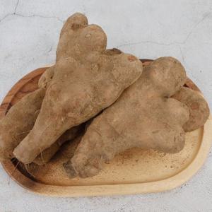 2025년 안동마 생 산마 하품(못난이) 5kg