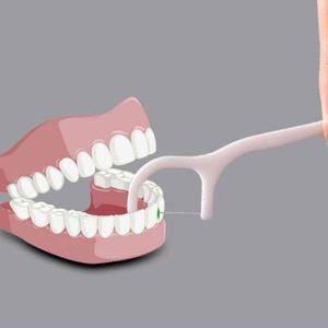 대용량 일회용 치실 치간치솔 이쑤시개 1100개입