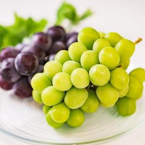 고흥 프리미엄 포도 6종 랜덤 SET 2kg(2-5송이사이)