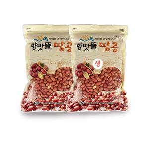 [향맛뜰] 여주 햇 볶음땅콩 300g + 생땅콩 300g / 고소한 국내산 땅콩