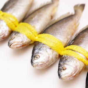 [유자네] 반건조 부세조기 5미(1kg내외,25~30cm)