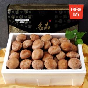 [신태석농장] 고창 생 표고버섯 선물세트 특호