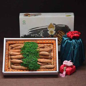 [감동 더덕 선물세트] 더덕 선물세트 1.8kg 중 20-35뿌리