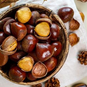 25년 수확 국내산 대보 칼집밤(대)1kg