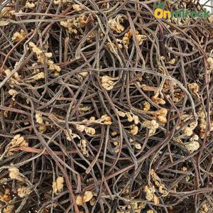 온미락 청정 남해 건고사리 100g 해풍맞은 고사리 삶아 말린고사리 건나물