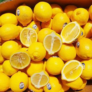 수입과일-레몬 중과(120g내외) 50개입