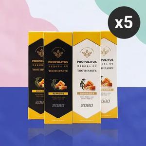 [애경] 2080 프로폴리투스 치약 100g 오리지날 5개 /로얄 100g 5개 중 택1