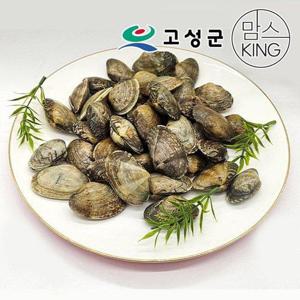 갤러리아_[공룡나라]동성수산 국산 생물 활바지락 1kg / 경남 고성