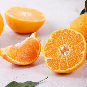 제주 당도선별 한라봉 2.5kg 10-14과 중과