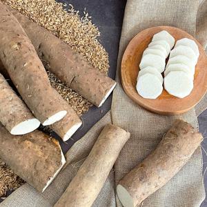 [더조은] 국내산 장마(특상품) 5kg