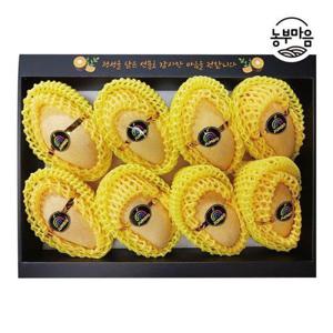 갤러리아_[농부마음]프리미엄 옐로망고 8입 선물세트