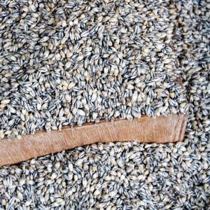 국산 검정보리쌀 500g x 2봉 l 흑보리 블랙보리 잡곡 l 지퍼팩 소포장