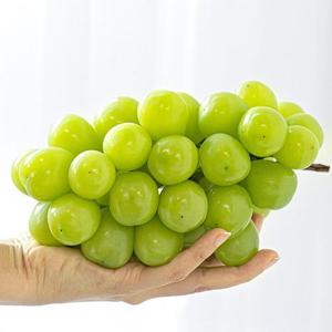 프리미엄 샤인머스캣 1kg (1-2수)